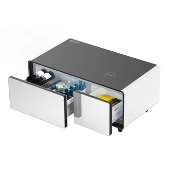 2023 93L Небольшой Холодильник Smart Coffee Table Двухдверный Холодильник С Морозильной Камерой